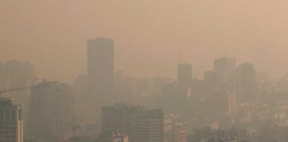 Covid y contaminación en el aire, consecuencias en vías respiratorias