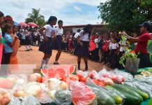 Realizan lanzamiento de estrategia de huertos escolares en Bilwi