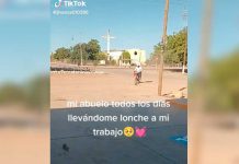 ¡El mejor! Abuelito lleva todos los días la comida a su nieta ¡El mejor! Abuelito lleva todos los días la comida a su nieta