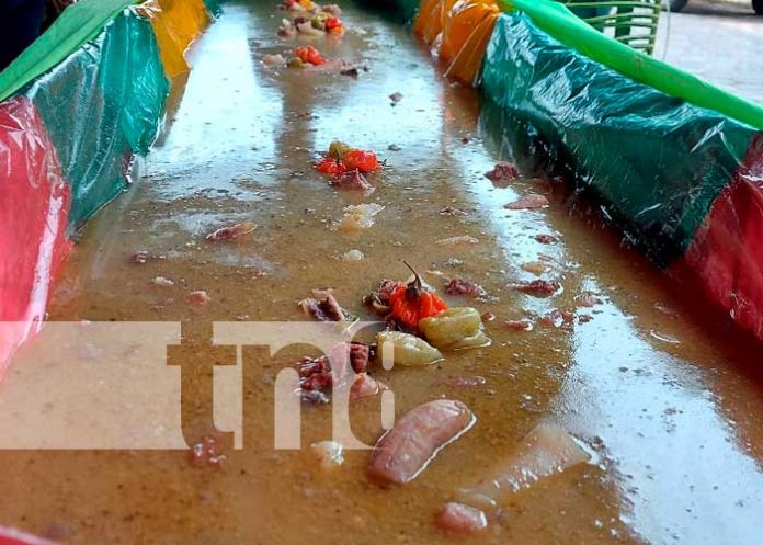 Realizan el Rondón más grande de Nicaragua en Bilwi