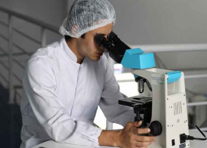 ¿Será la cura?: Crean virus capaz de 