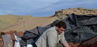 "Dragón de la muerte", ave que vivió hace millones de años