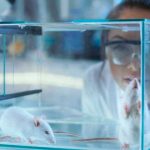 Medicamento contra VIH asegura curar la pérdida de memoria Medicamento contra VIH asegura curar la pérdida de memoria