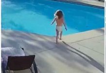 Héroe sin capa: Rescatan a niño con autismo de morir ahogado en EEUU (VIDEO) Héroe sin capa: Rescatan a niño con autismo de morir ahogado en EEUU