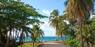Corn Island estrenará nueva carretera adoquinada