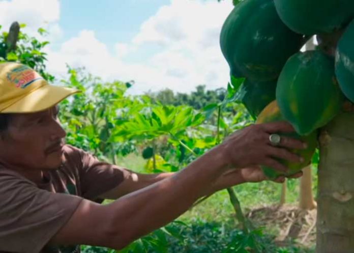 La Notificación: Entérate de las noticias más destacadas en Nicaragua