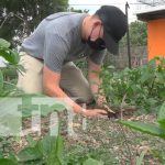 Estelí se propone la meta de sembrar más de 80 mil plantas Estelí se propone la meta de sembrar más de 80 mil plantas