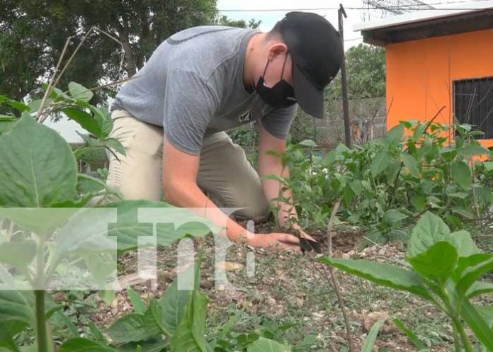 Estelí se propone la meta de sembrar más de 80 mil plantas