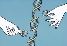 El código del genoma humano finalmente esta completo El código del genoma humano finalmente está completo
