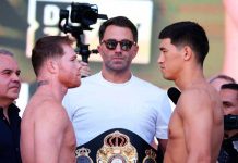 canelo, alvarez, boxeo, amb, Dmitry, bivol,