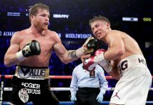 canelo, alvarez, boxeo, gennady, golovkin,