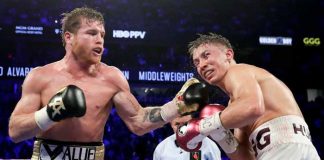 canelo, alvarez, boxeo, gennady, golovkin,
