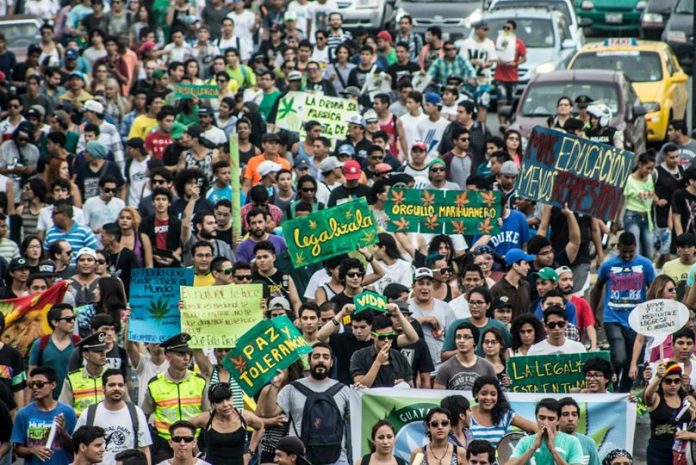 Manifestantes en Ecuador demandan la legalización de la marihuana