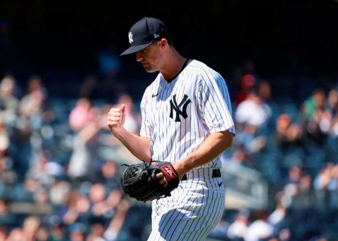 Holmes clay, holmes, yankees, nueva, york, mlb,