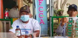 conferencias sobre el manejo de la medicina natural en Matagalpa / tn8