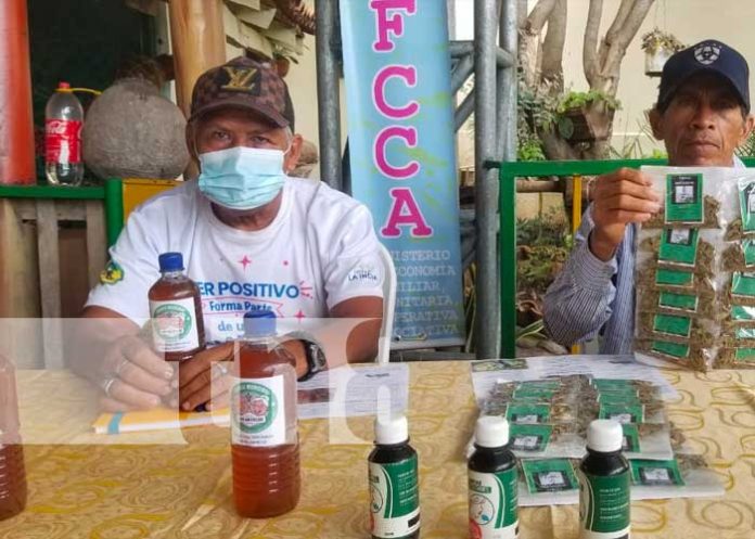 conferencias sobre el manejo de la medicina natural en Matagalpa / tn8