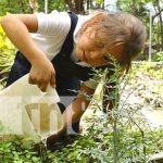 MINED promueve seguridad alimentaria y nutricional en colegios de Somoto Foto: MINED Promueve seguridad alimentaria y nutricional en centros educativos en Somoto / TN8