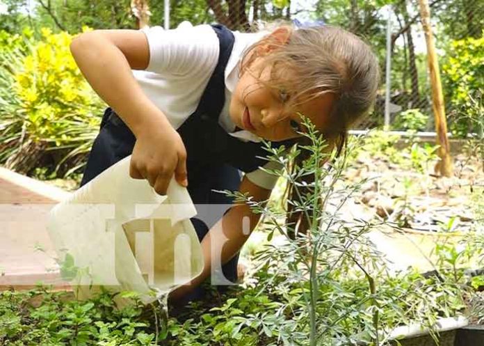 Somoto-2 Foto: MINED Promueve seguridad alimentaria y nutricional en centros educativos en Somoto / TN8