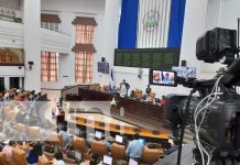Asamblea Nacional cancela personalidad jurídica de 83 ONG’s en Nicaragua Sesión en la Asamblea Nacional de Nicaragua