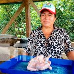 ¡Exitoso! Emprendimiento «Pollo Caribeño» en Bilwi con apoyo del MEFCCA ¡Exitoso! Emprendimiento "Pollo Caribeño" en Bilwi con apoyo del MEFCCA