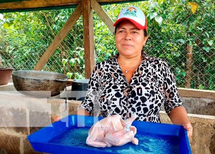 ¡Exitoso! Emprendimiento 