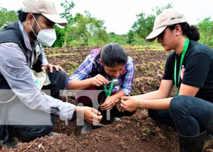 Estudiantes que forman parte de la Universidad en el Campo en Nicaragua