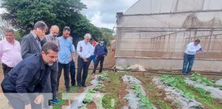 Visita de delegación de Irán por invernadero en Nicaragua