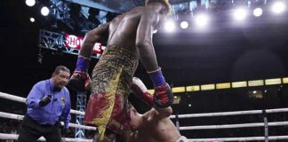 charlo, boxeo