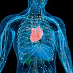 El COVID-19 y su impacto en el corazón