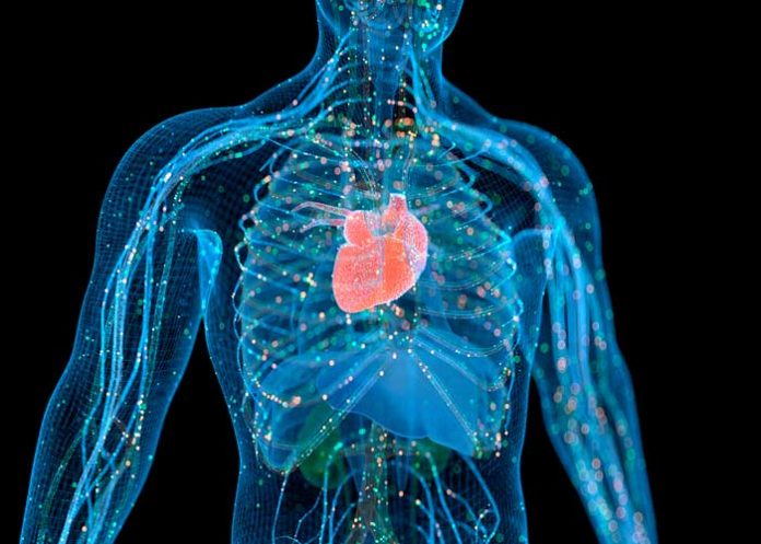 El COVID-19 y su impacto en el corazón