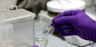 Vacunas contra variante de COVID-19 en estudio