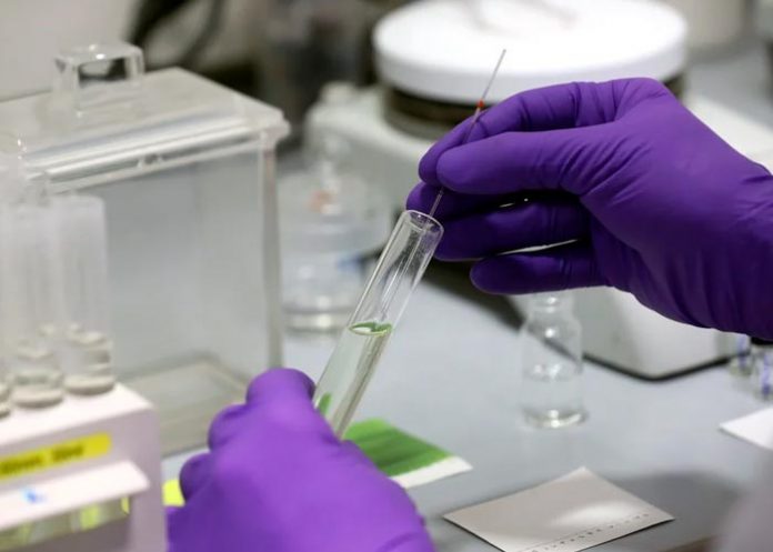 Vacunas contra variante de COVID-19 en estudio