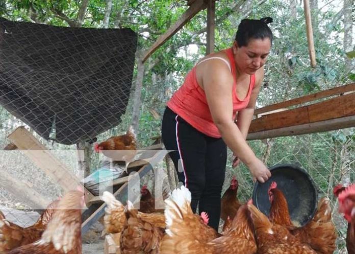 emprendimientos-esteli-1