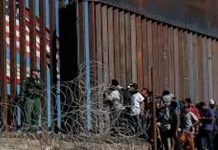 «Dígale No al Coyote»: Controversial campaña en Estados Unidos "Dígale No al Coyote": Controversial campaña en Estados Unidos