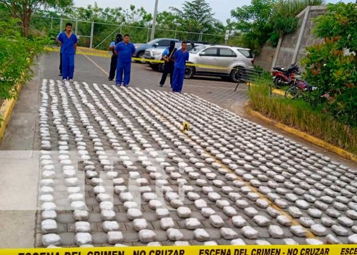 esteli-marihuana-3 Incautación de media tonelada de marihuana en Estelí