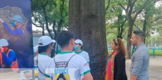 Alcaldía de Managua realizando censo forestal