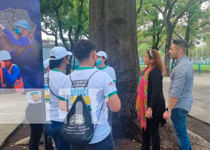 Alcaldía de Managua realizando censo forestal