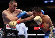 gallo, estrada, chocolatito, gonzalez, boxeo
