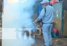 Managua: Acciones antiepidémicas para garantizar la salud Brigadistas del MINSA que fumigan en Managua