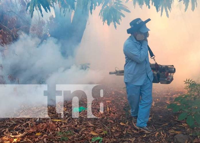 Jornada de fumigación en barrios de Managua