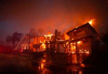 Incendio arrasa con todo a su paso por Nuevo México y California Incendio arrasa con todo a su paso por Nuevo México y California