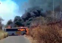 Enfrentamiento entre bandas deja tres muertos en Jalisco, México (video)