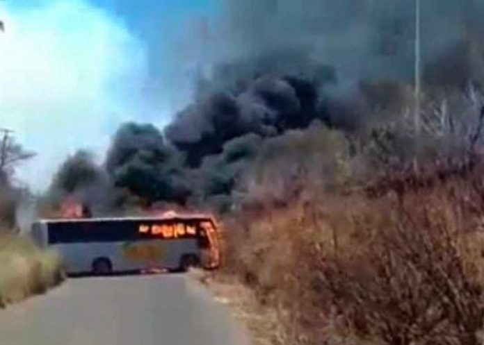 Enfrentamiento entre bandas deja tres muertos en Jalisco, México (video)