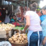 Reportan estabilidad de precios en mercados de Managua, Masaya y Granada Ambiente en mercados de Managua, con bajas en precios
