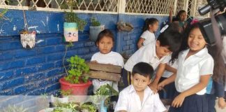Concurso de escuela verde desde Matagalpa