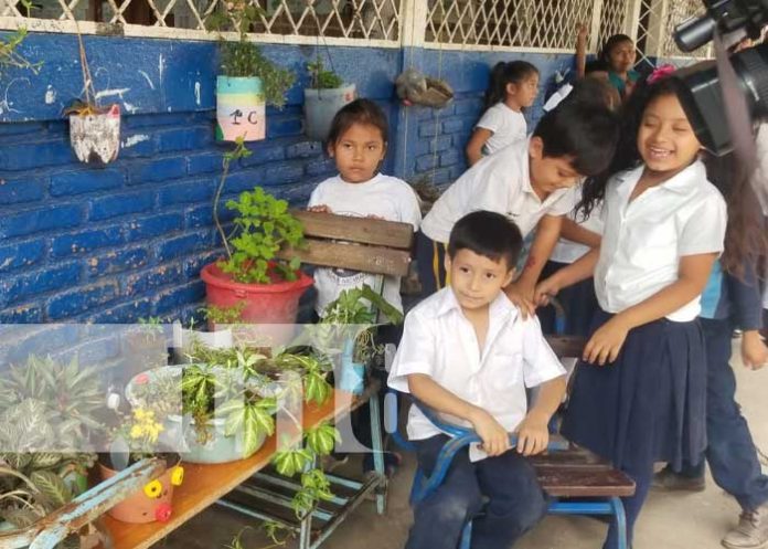 Concurso de escuela verde desde Matagalpa