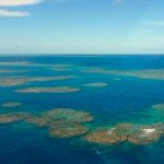 Océanos están empezando a perder la memoria