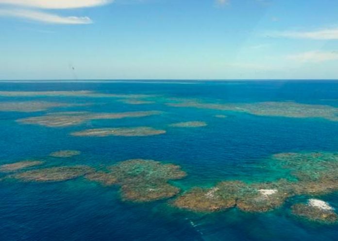 Océanos están empezando a perder la memoria