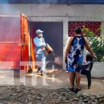MINSA elimina zancudos en barrio Germán Pomares de Managua