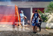 MINSA elimina zancudos en barrio Germán Pomares de Managua MINSA elimina zancudos en barrio Germán Pomares de Managua